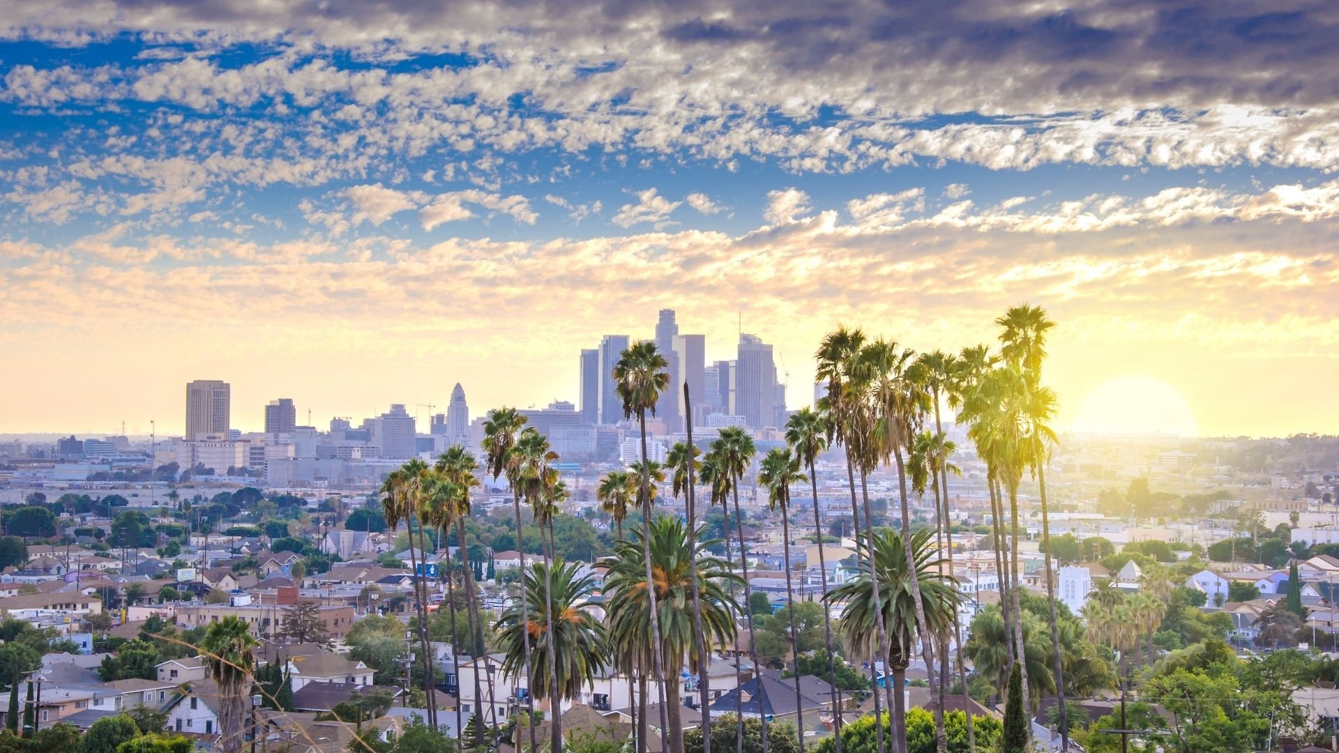 Los Angeles skyline at sunset with palm trees in foreground and cloudy sky